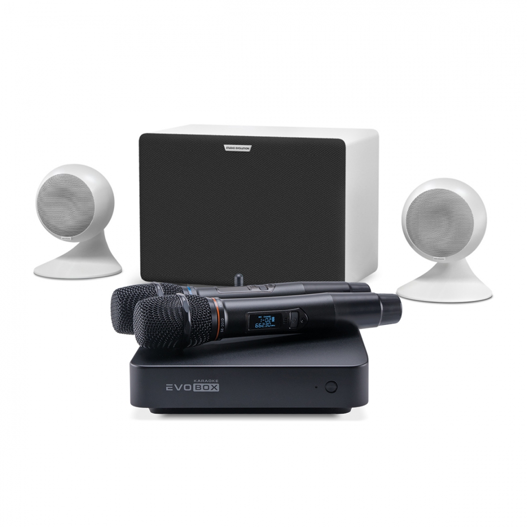 караоке-комплект EVOBOX Classic + EvoSound Sphere 2.1 в Севастополе