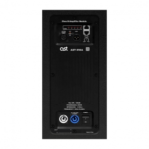 Активная акустическая система AST-310A в Севастополе