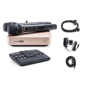 EVOBOX Classic караоке-система для дома в Севастополе